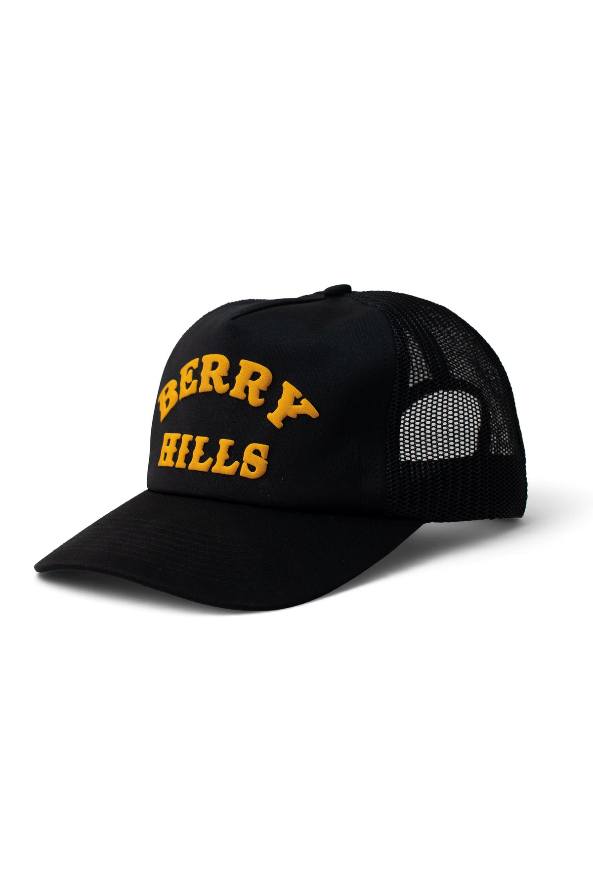 Berry Hills Cap (Black)